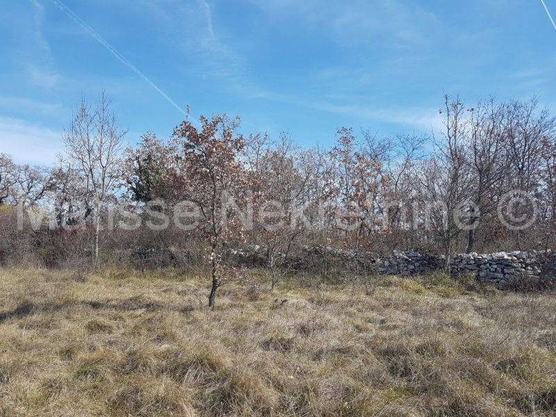 Dvojna kuća, Prodaja, Vodnjan, Vodnjan