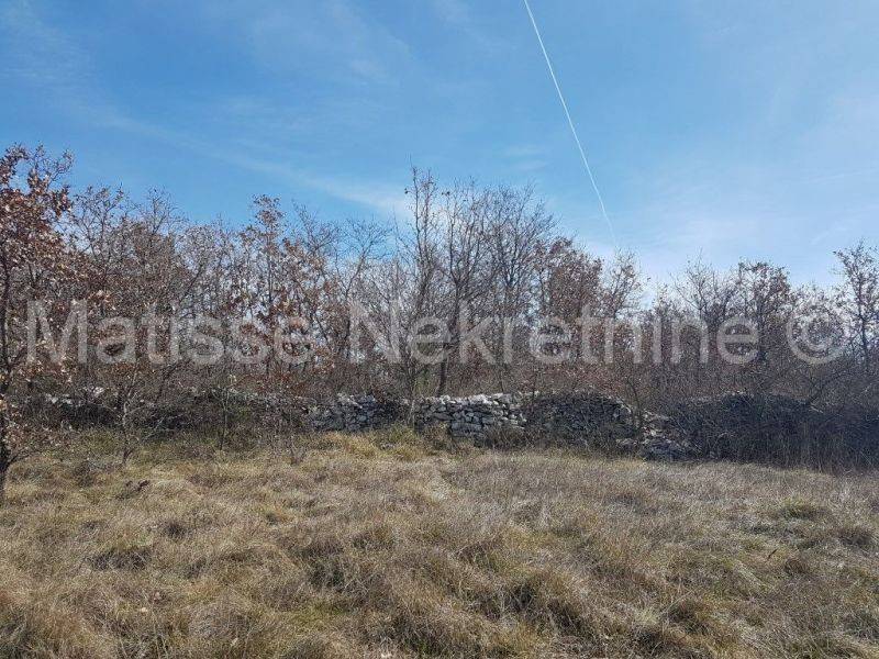 Dvojna kuća, Prodaja, Vodnjan, Vodnjan