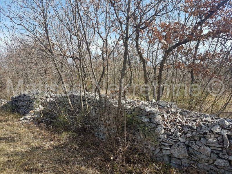 Dvojna kuća, Prodaja, Vodnjan, Vodnjan