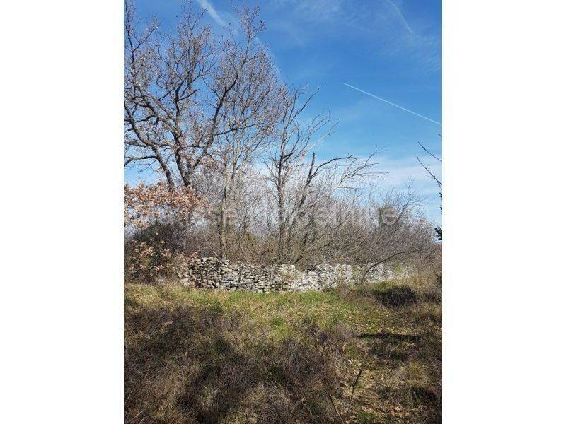 Dvojna kuća, Prodaja, Vodnjan, Vodnjan