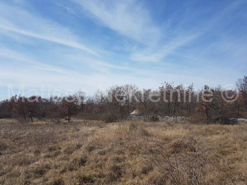 Dvojna kuća, Prodaja, Vodnjan, Vodnjan