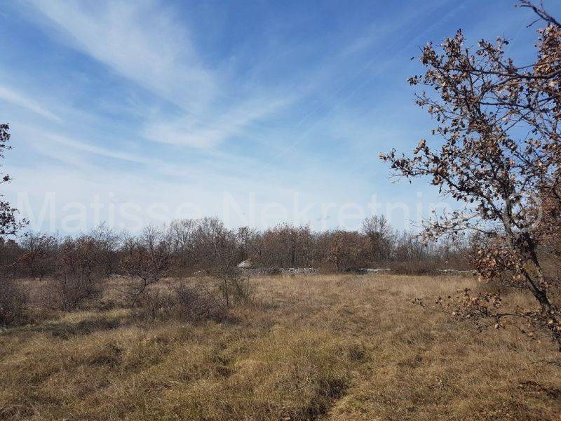 Dvojna kuća, Prodaja, Vodnjan, Vodnjan