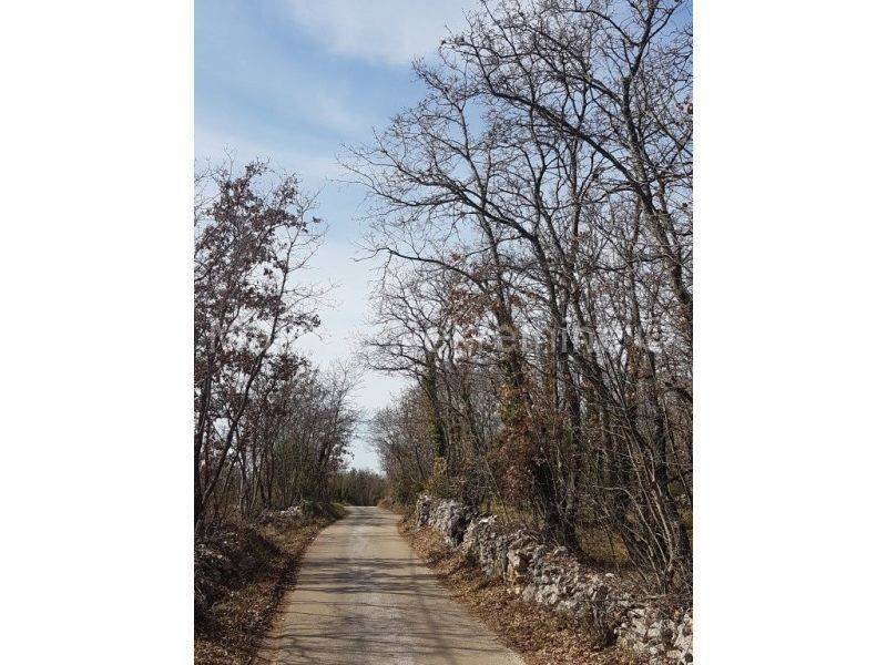 Dvojna kuća, Prodaja, Vodnjan, Vodnjan