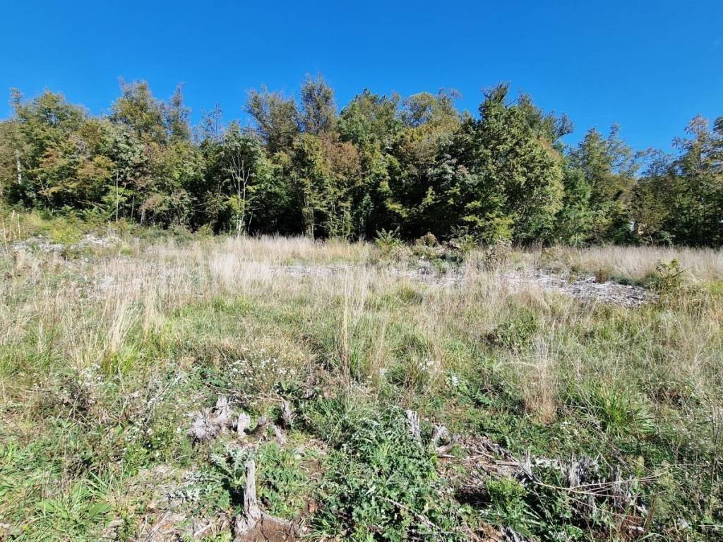 Građevinsko zemljište, Prodaja, Čavle, Podčudnič