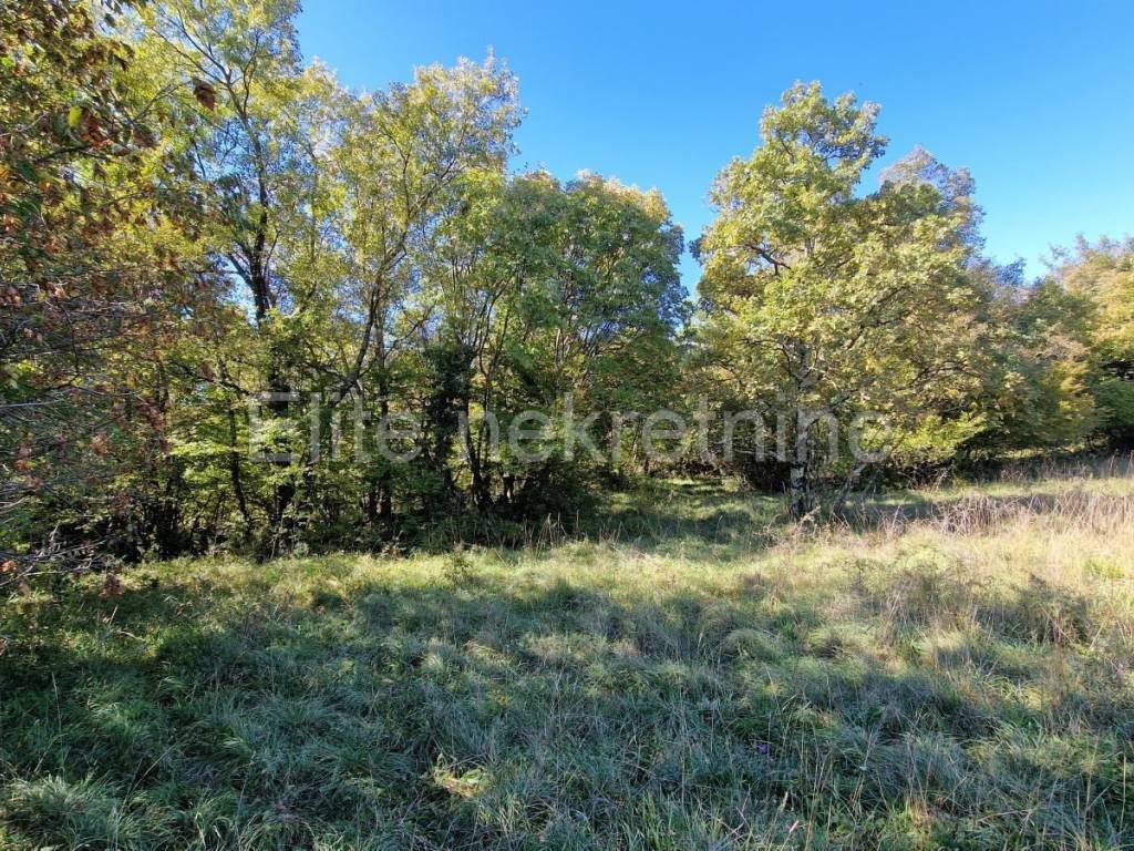 Građevinsko zemljište, Prodaja, Čavle, Podčudnič