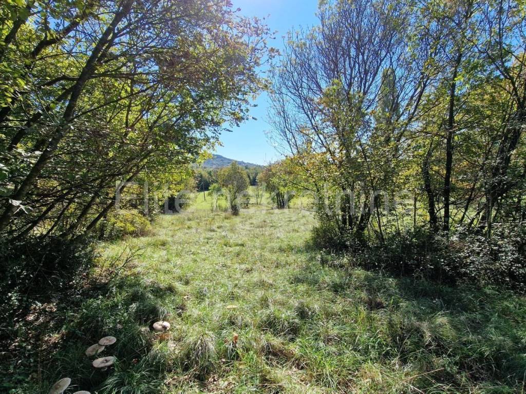 Građevinsko zemljište, Prodaja, Čavle, Podčudnič