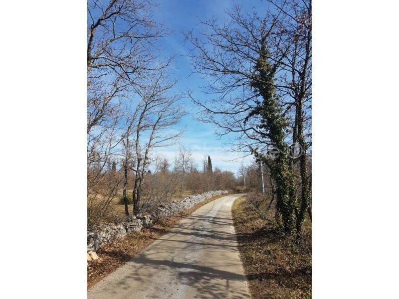 Dvojna kuća, Prodaja, Vodnjan, Vodnjan