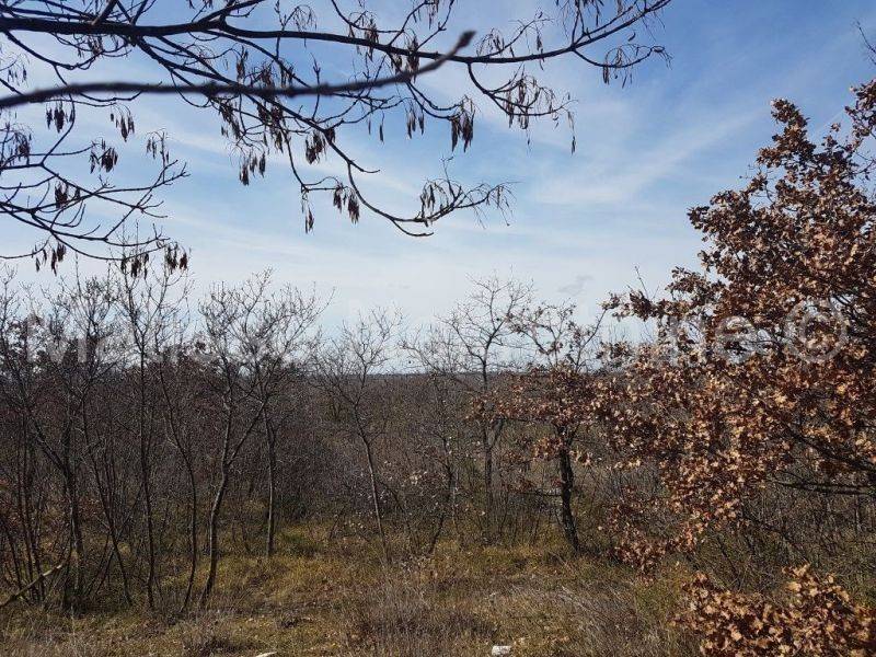 Dvojna kuća, Prodaja, Vodnjan, Vodnjan