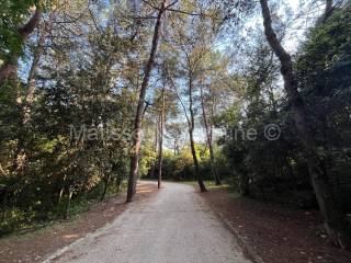 Stan u zgradi, prodaja, Rovinj,Rovinj