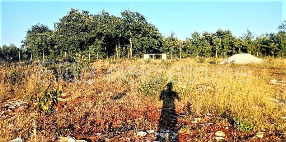 Građevinsko zemljište, Prodaja, Svetvinčenat, Smoljanci