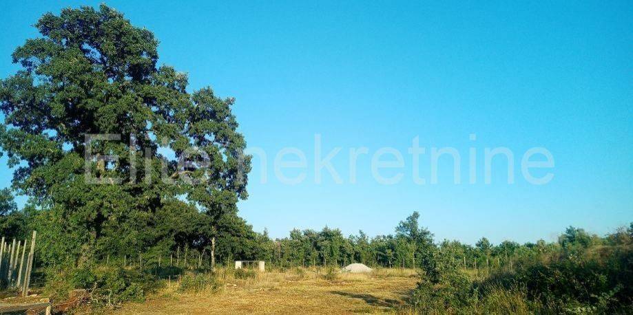 Građevinsko zemljište, Prodaja, Svetvinčenat, Smoljanci