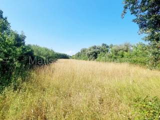 Poljoprivredno zemljište, Prodaja, Ližnjan, Šišan