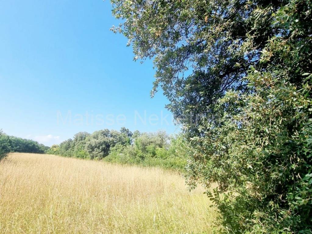 Poljoprivredno zemljište, Prodaja, Ližnjan, Šišan