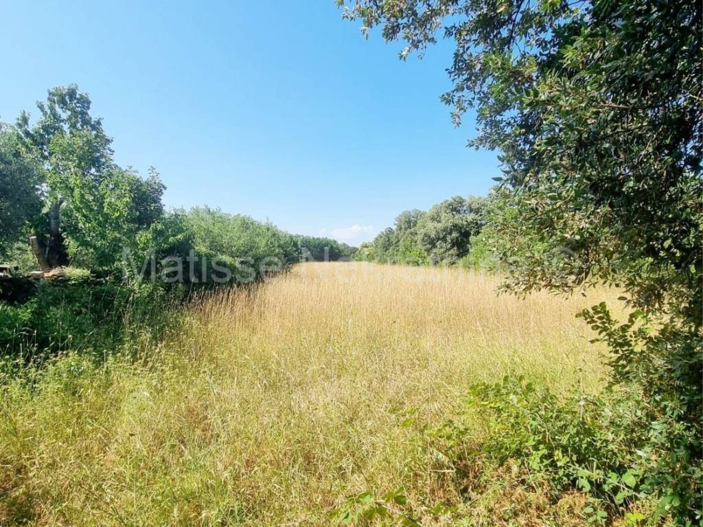 Poljoprivredno zemljište, Prodaja, Ližnjan, Šišan