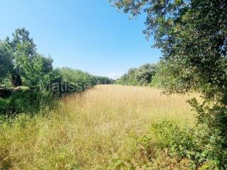 Poljoprivredno zemljište, Prodaja, Ližnjan, Šišan