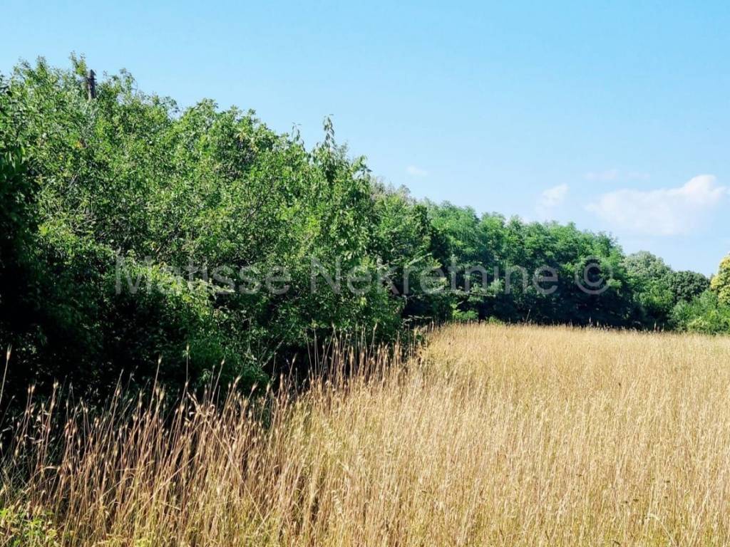 Poljoprivredno zemljište, Prodaja, Ližnjan, Šišan