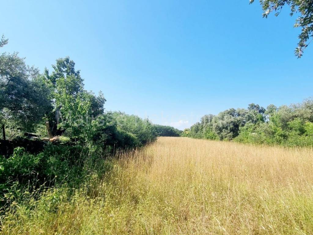 Poljoprivredno zemljište, Prodaja, Ližnjan, Šišan