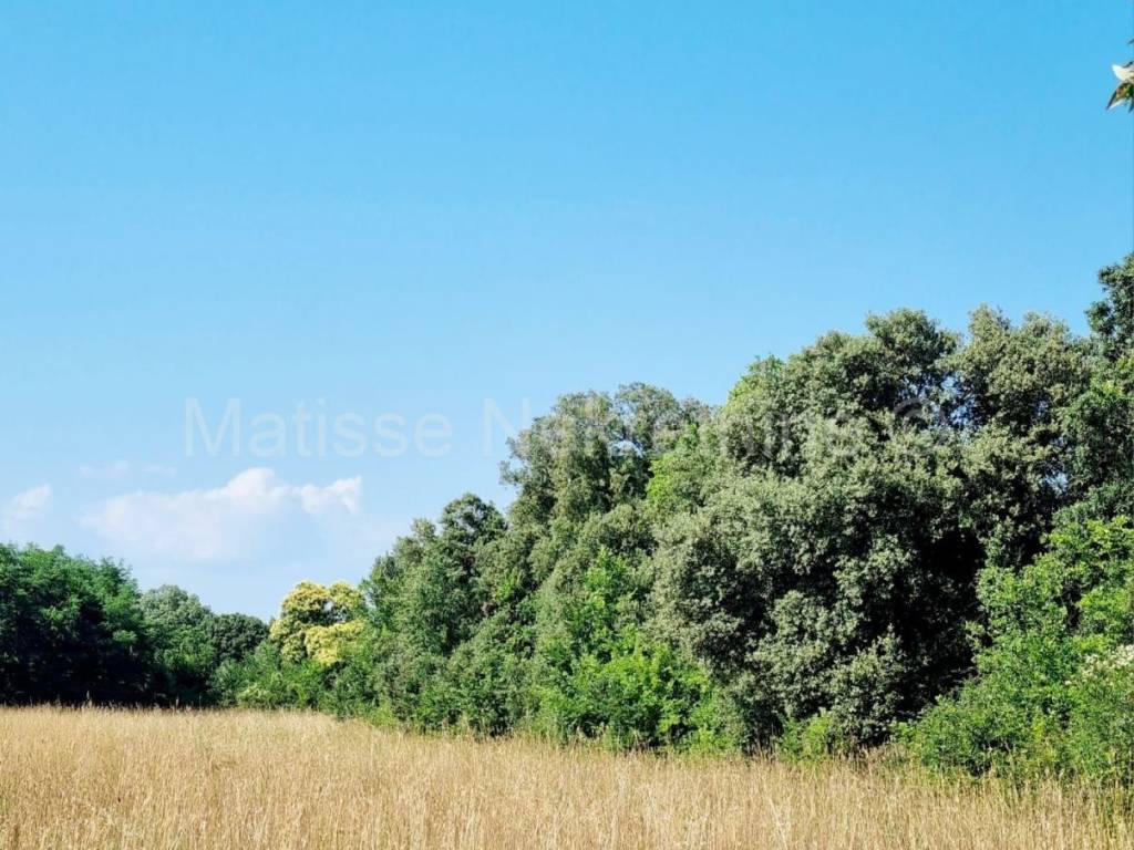 Poljoprivredno zemljište, Prodaja, Ližnjan, Šišan