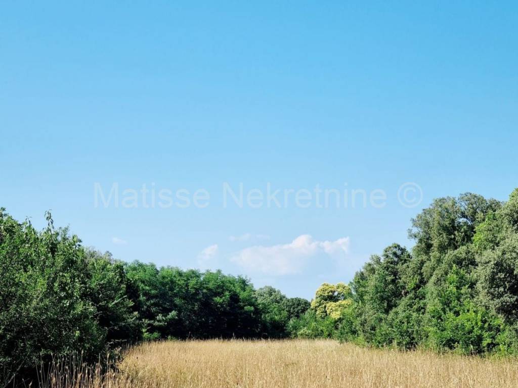 Poljoprivredno zemljište, Prodaja, Ližnjan, Šišan