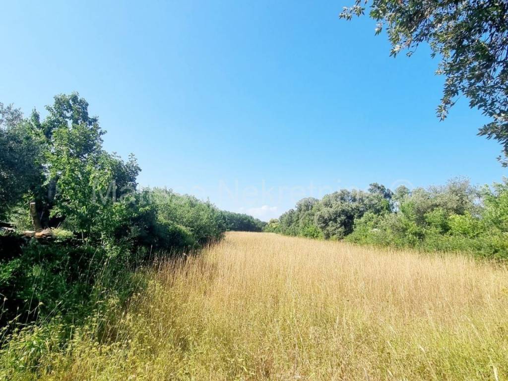 Poljoprivredno zemljište, Prodaja, Ližnjan, Šišan