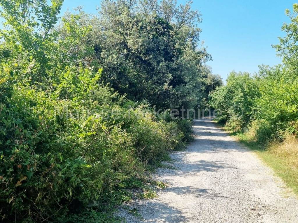 Poljoprivredno zemljište, Prodaja, Ližnjan, Šišan