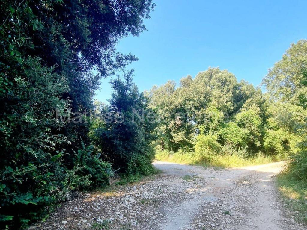 Poljoprivredno zemljište, Prodaja, Ližnjan, Šišan