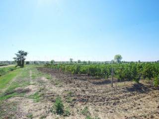 Poljoprivredno zemljište, Prodaja, Benkovac, Nadin