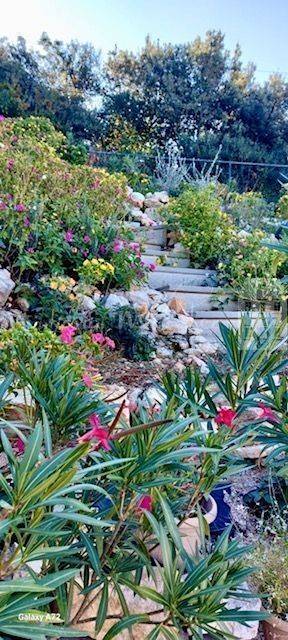 Kuća na moru, Prodaja, Rovinj, Rovinj