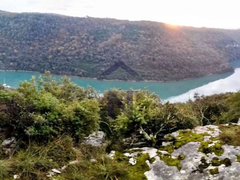 Šuma, Prodaja, Sveti Lovreč, Krunčići