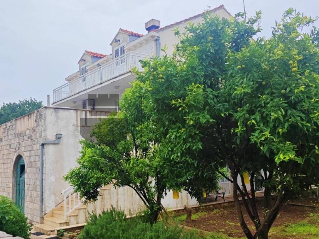 Zupa dubrovacka, Cibaca