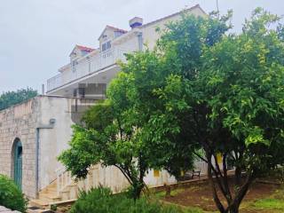 Zupa dubrovacka, Cibaca