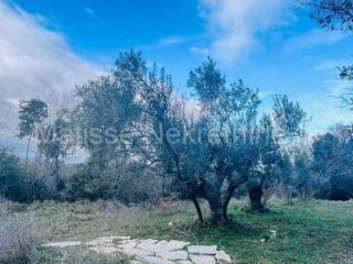 Poljoprivredno zemljište, Prodaja, Marčana, Peruški