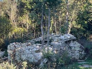 Poljoprivredno zemljište, Prodaja, Marčana, Peruški