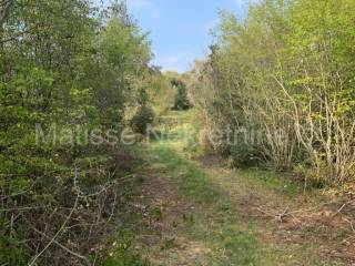 Poljoprivredno zemljište, Prodaja, Marčana, Peruški