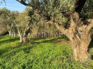 Poljoprivredno zemljište, Prodaja, Marčana, Peruški