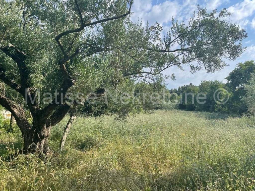 Poljoprivredno zemljište, Prodaja, Marčana, Peruški