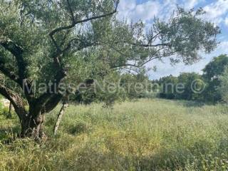 Poljoprivredno zemljište, Prodaja, Marčana, Peruški