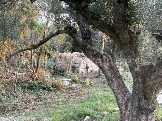 Poljoprivredno zemljište, Prodaja, Marčana, Peruški