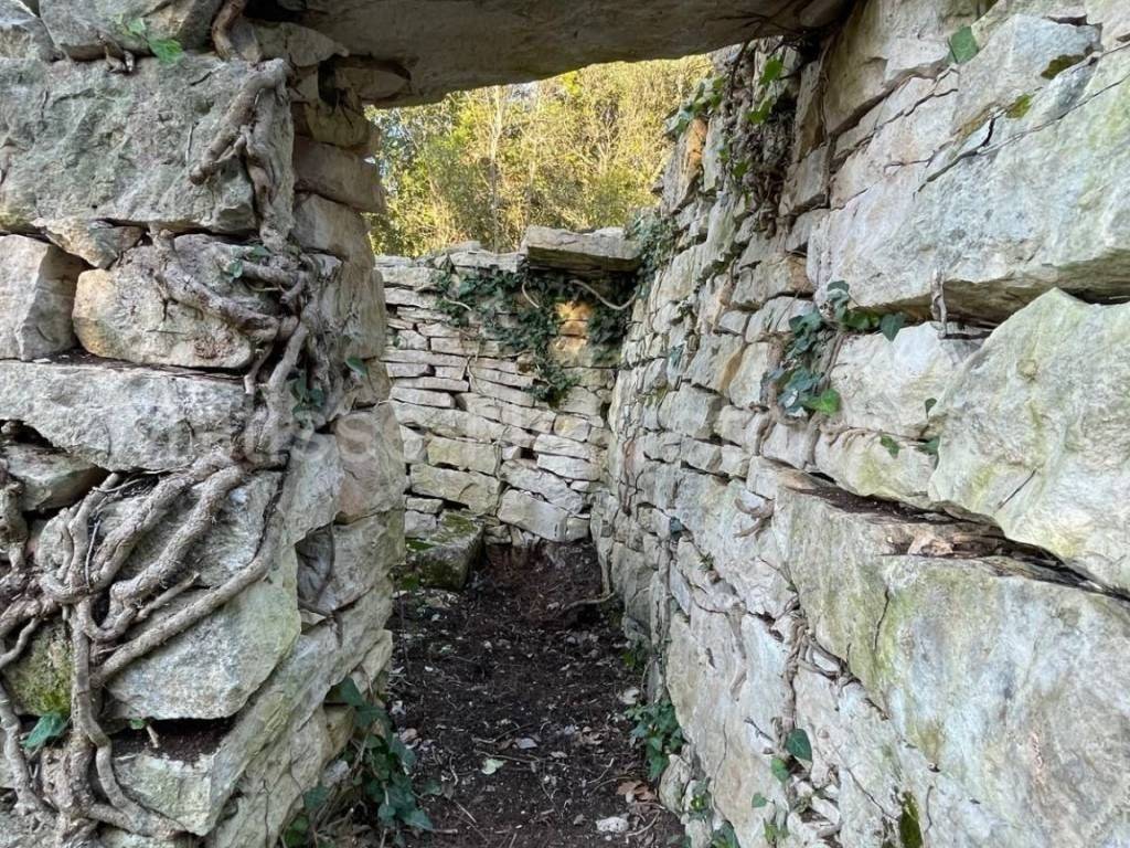 Poljoprivredno zemljište, Prodaja, Marčana, Peruški