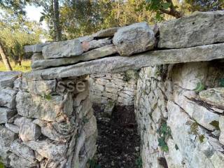 Poljoprivredno zemljište, Prodaja, Marčana, Peruški