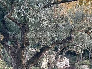 Poljoprivredno zemljište, Prodaja, Marčana, Peruški