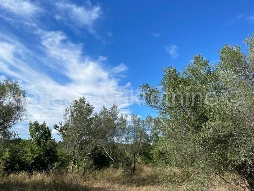 Poljoprivredno zemljište, Prodaja, Marčana, Peruški