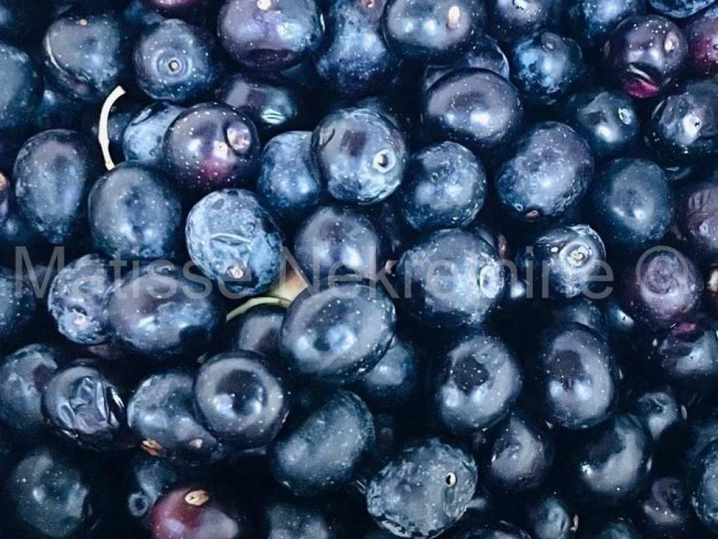 Poljoprivredno zemljište, Prodaja, Marčana, Peruški