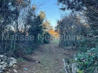 Poljoprivredno zemljište, Prodaja, Marčana, Peruški