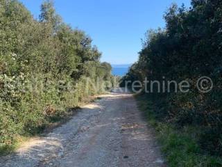 Poljoprivredno zemljište, Prodaja, Marčana, Peruški