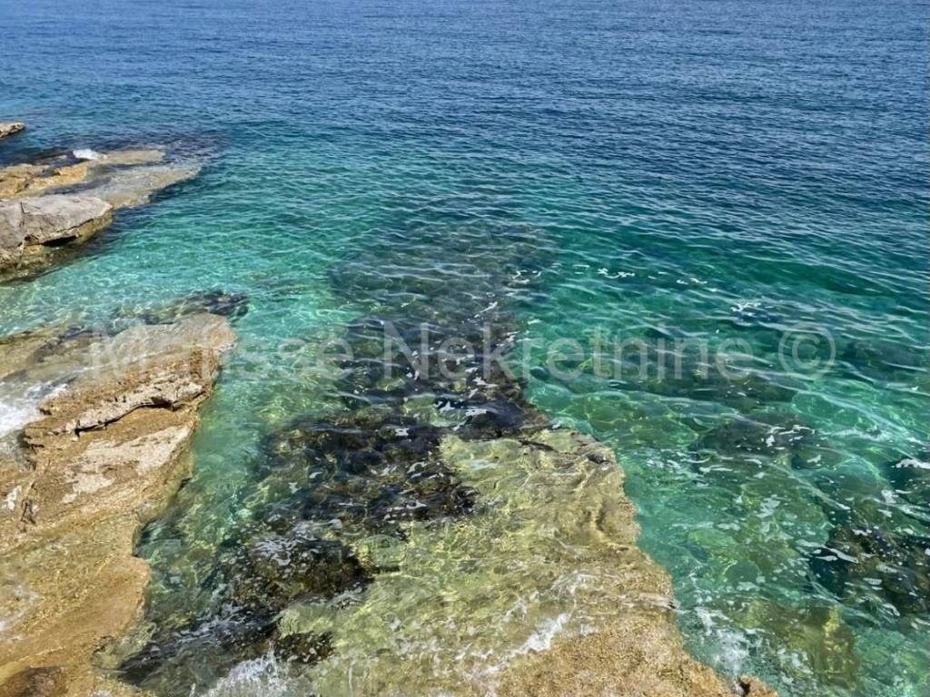 Poljoprivredno zemljište, Prodaja, Marčana, Peruški