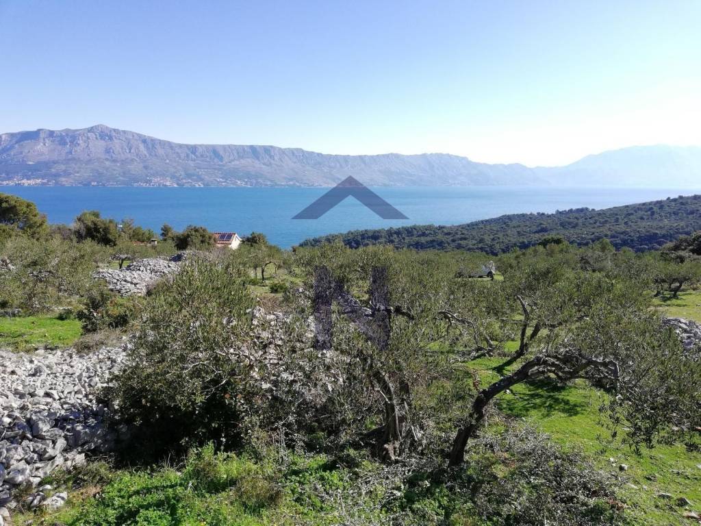 Poljoprivredno zemljište, Prodaja, Postira, Postira