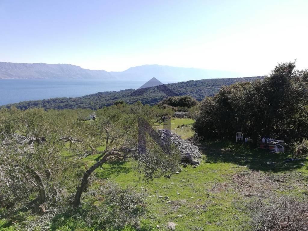 Poljoprivredno zemljište, Prodaja, Postira, Postira