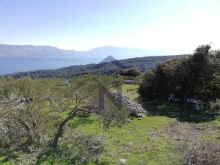 Poljoprivredno zemljište, Prodaja, Postira, Postira