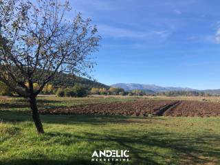 Samostojeća kuća, Prodaja, Trilj, Grab